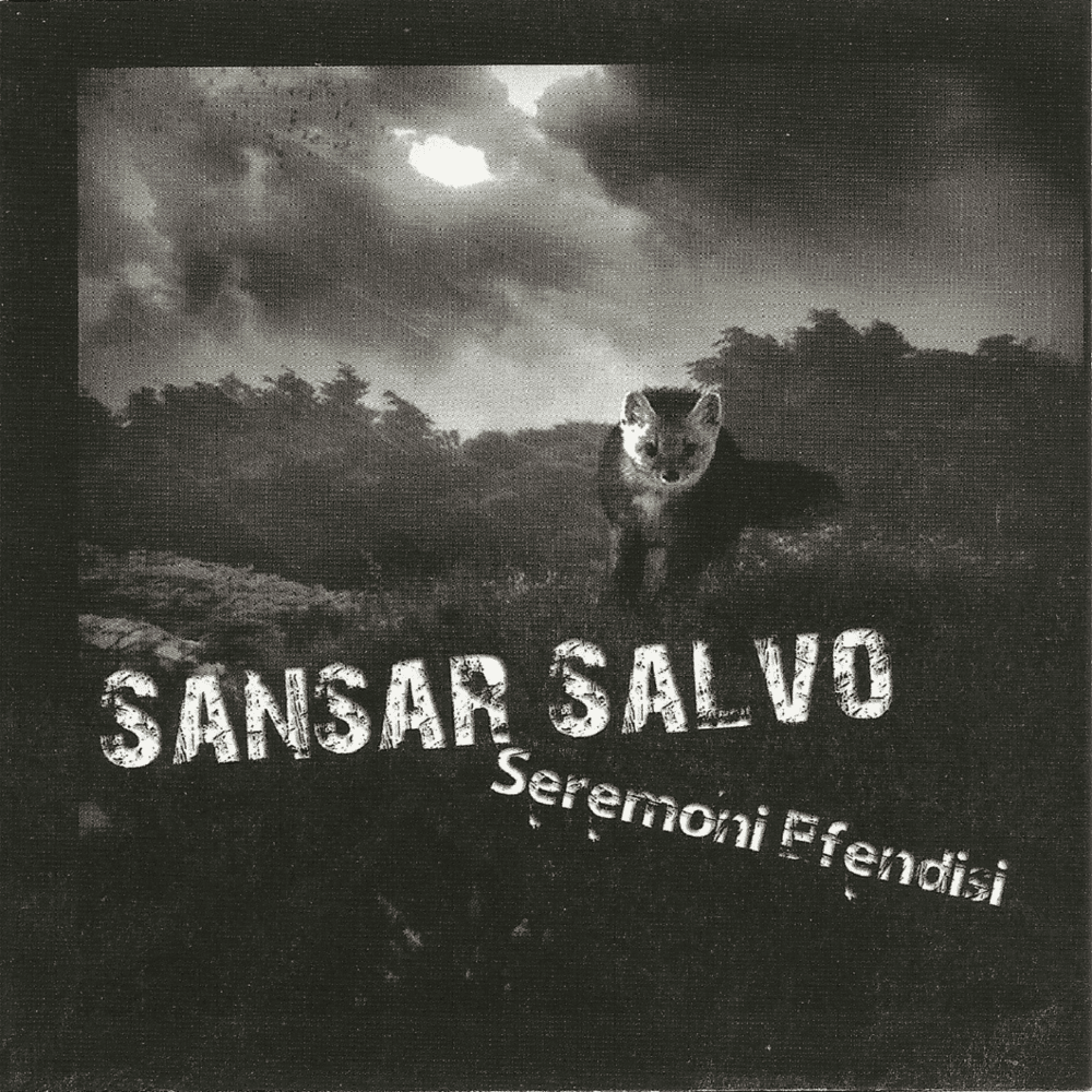 Bombalar Hedef Bulur by Sansar Salvo