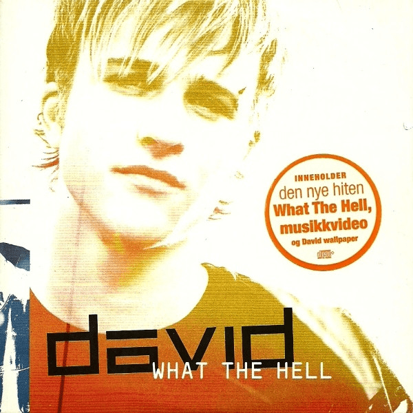 Album cover art for "What The Hell" by Absolute Music