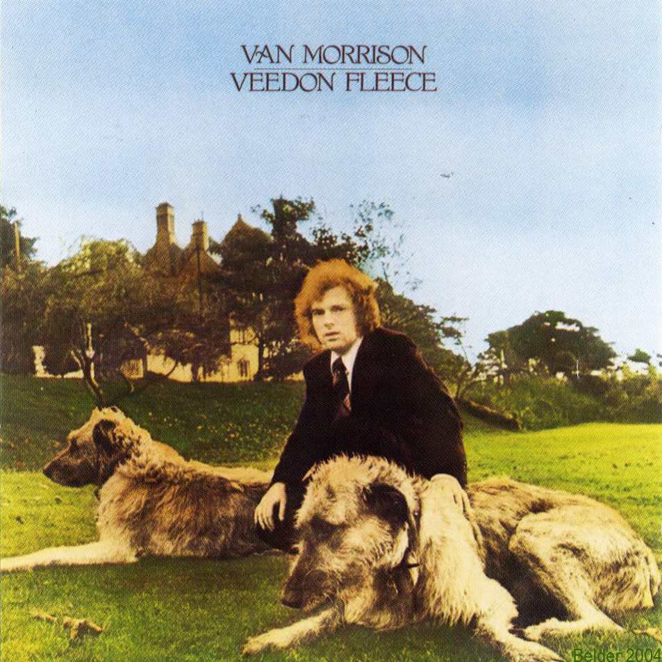 Album cover art for "Comfort You" by Van Morrison