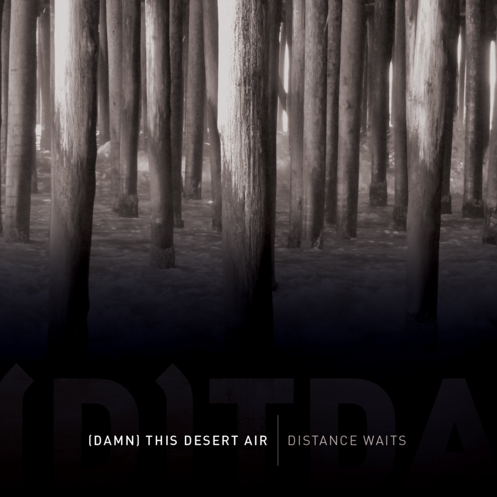 Cover image for Distance Waits