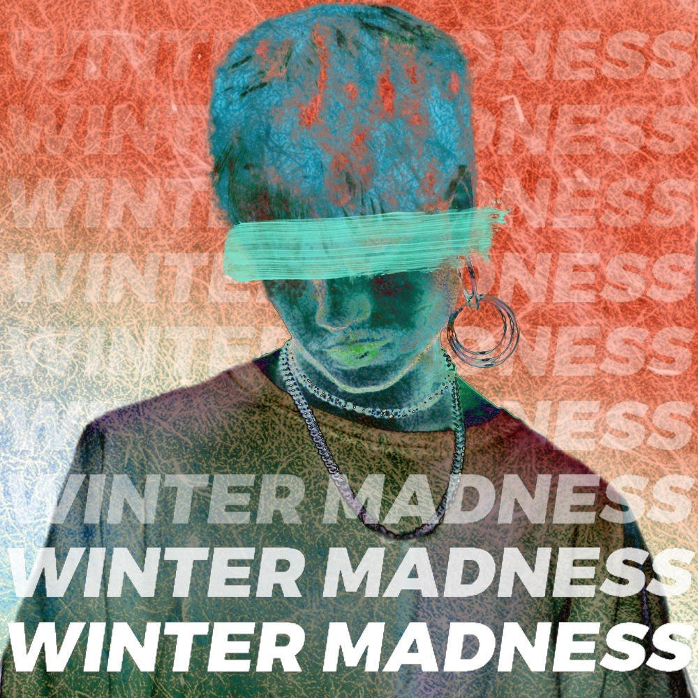 Cover image for Winter Madness