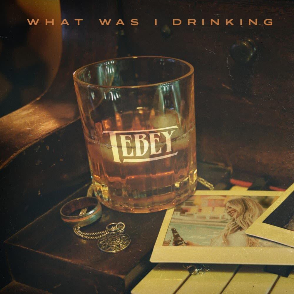 What Was I Drinking by Tebey