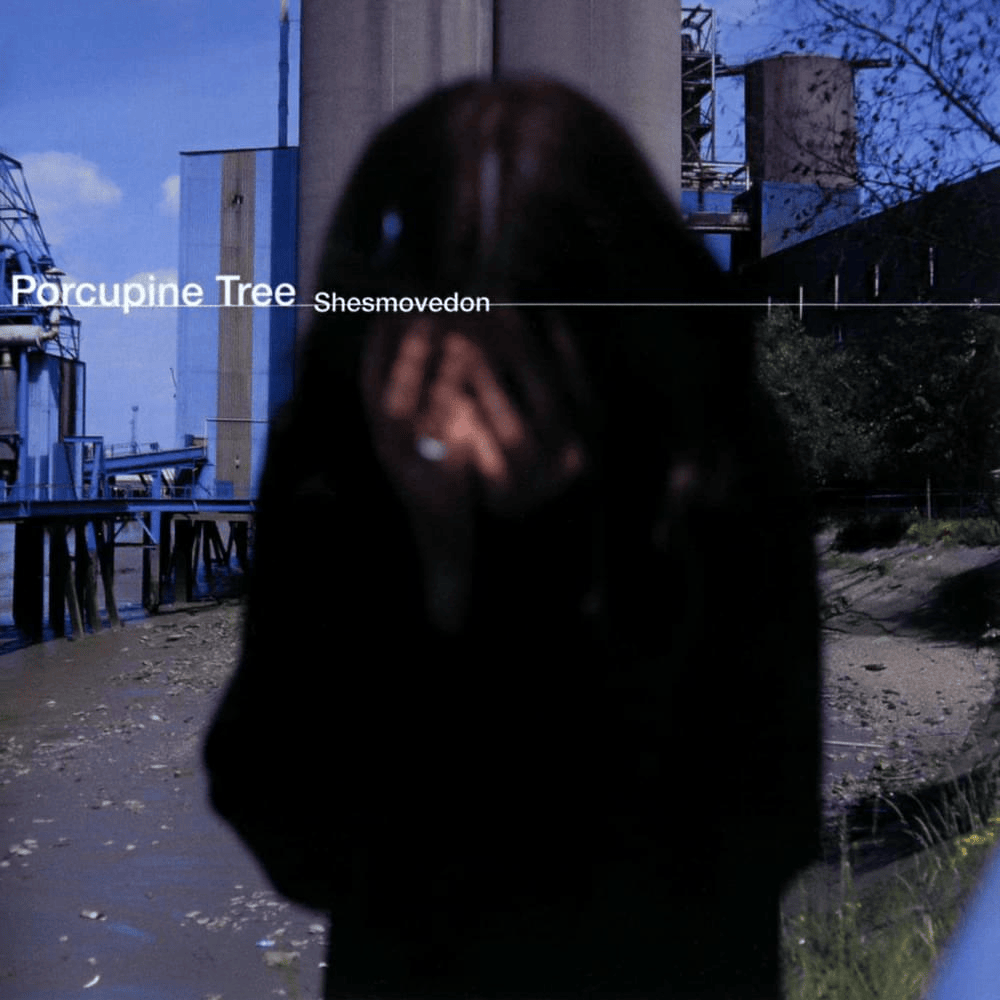 Album cover art for "Shesmovedon" by Porcupine Tree