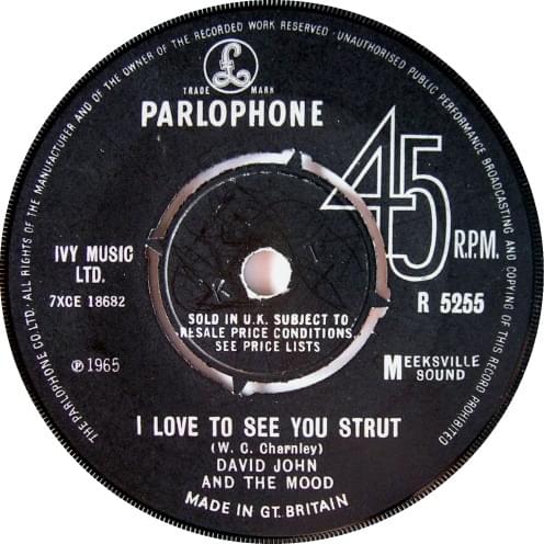 I Love to See You Strut by David John & The Mood