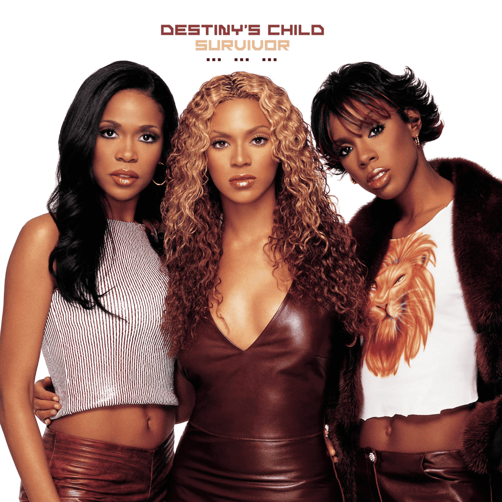 Cover image for Survivor (Remixes)