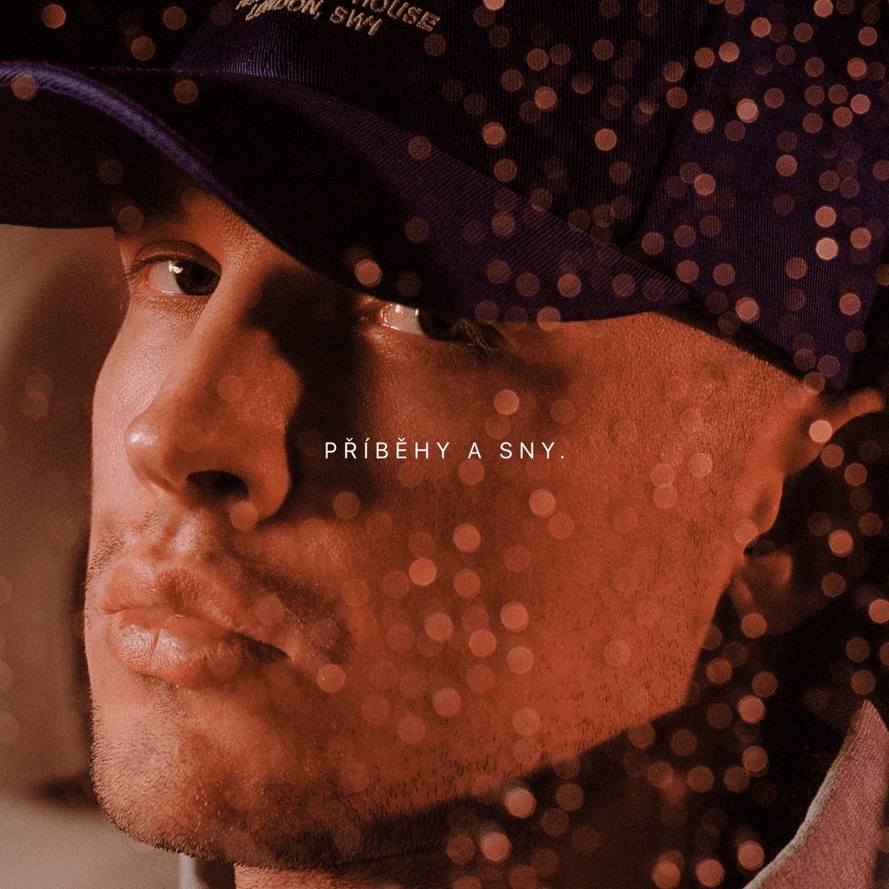 Cover image for Příběhy a sny