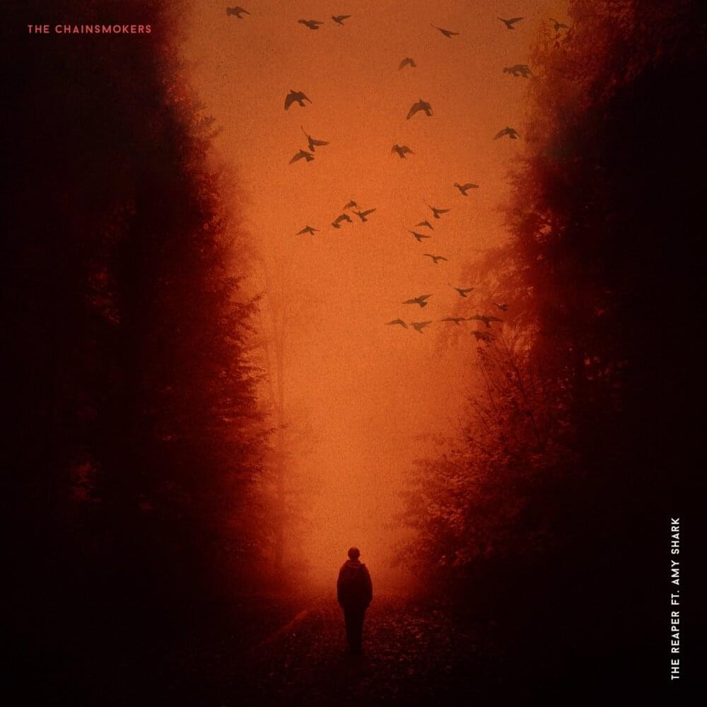 Album cover art for "The Reaper" by The Chainsmokers & Amy Shark
