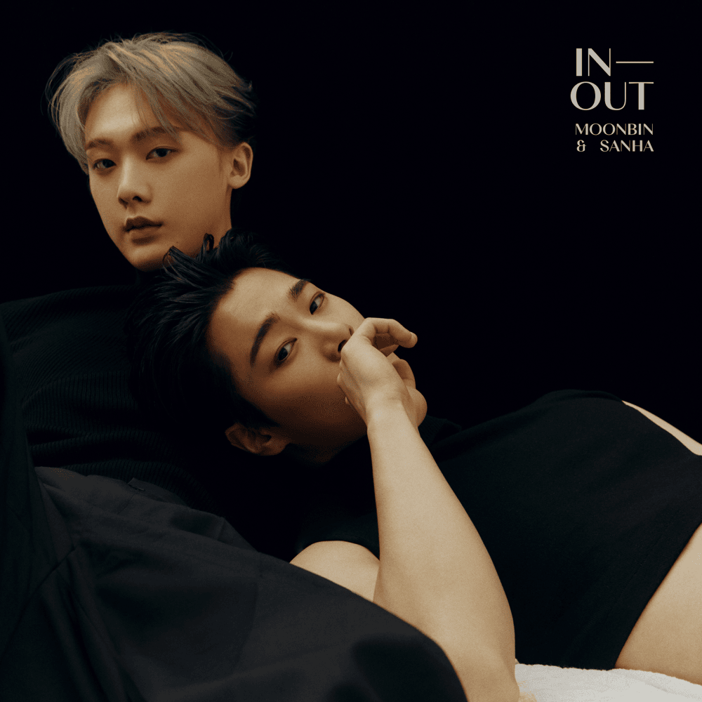 Cover image for IN-OUT