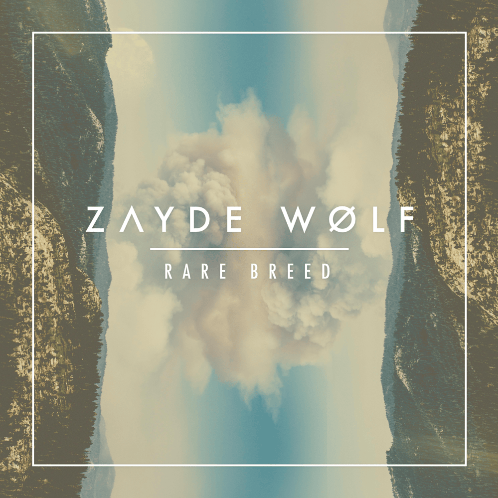 Cover image for Rare Breed