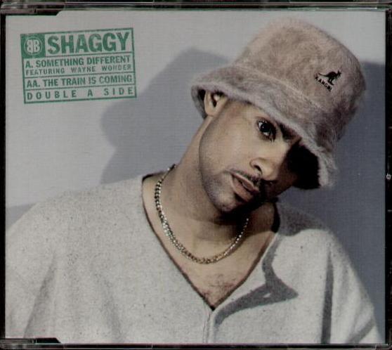 Album cover art for "Something Different" by Shaggy & Wayne Wonder