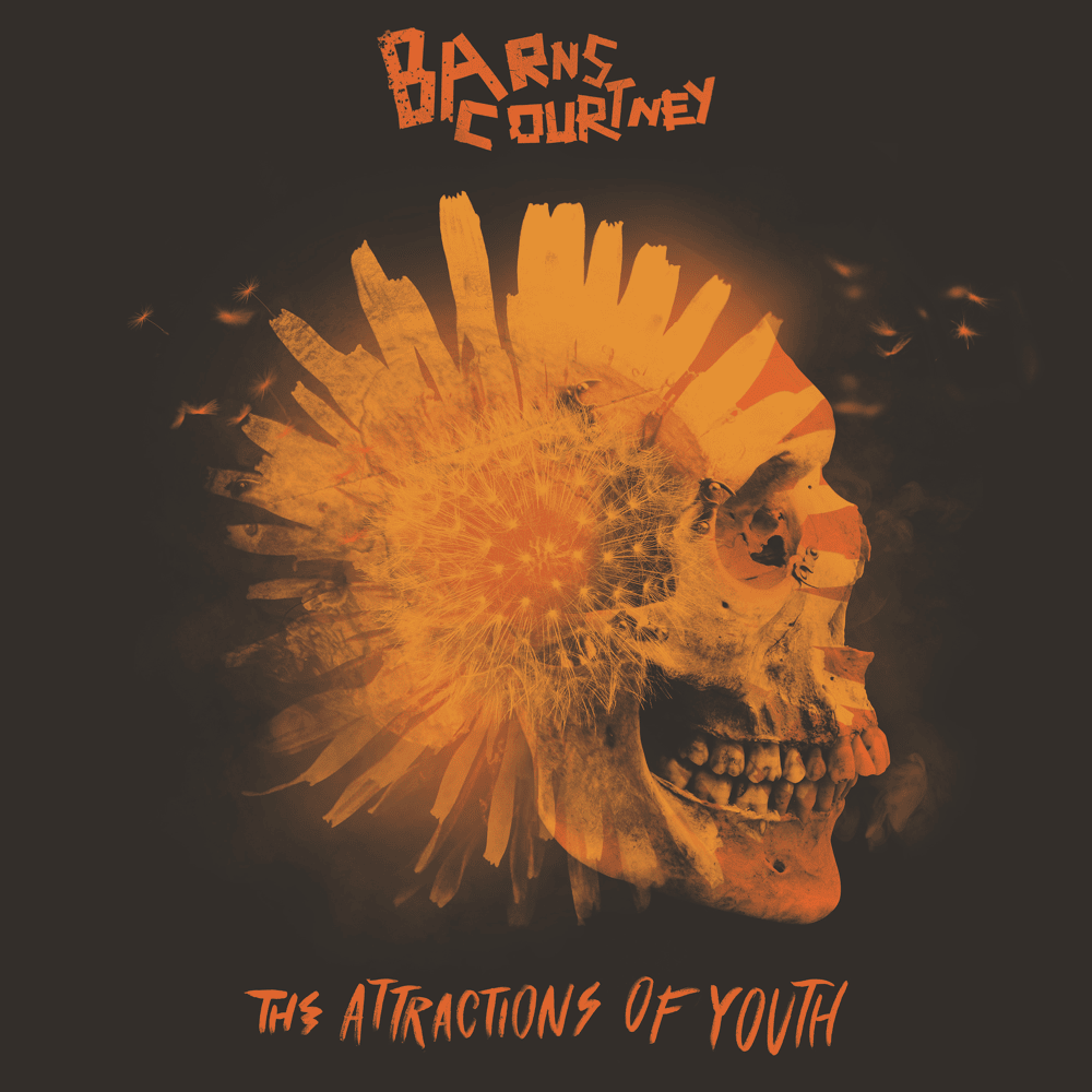 Album cover art for "Kicks" by Barns Courtney