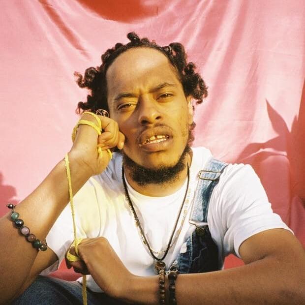 Cover image for Pink Siifu