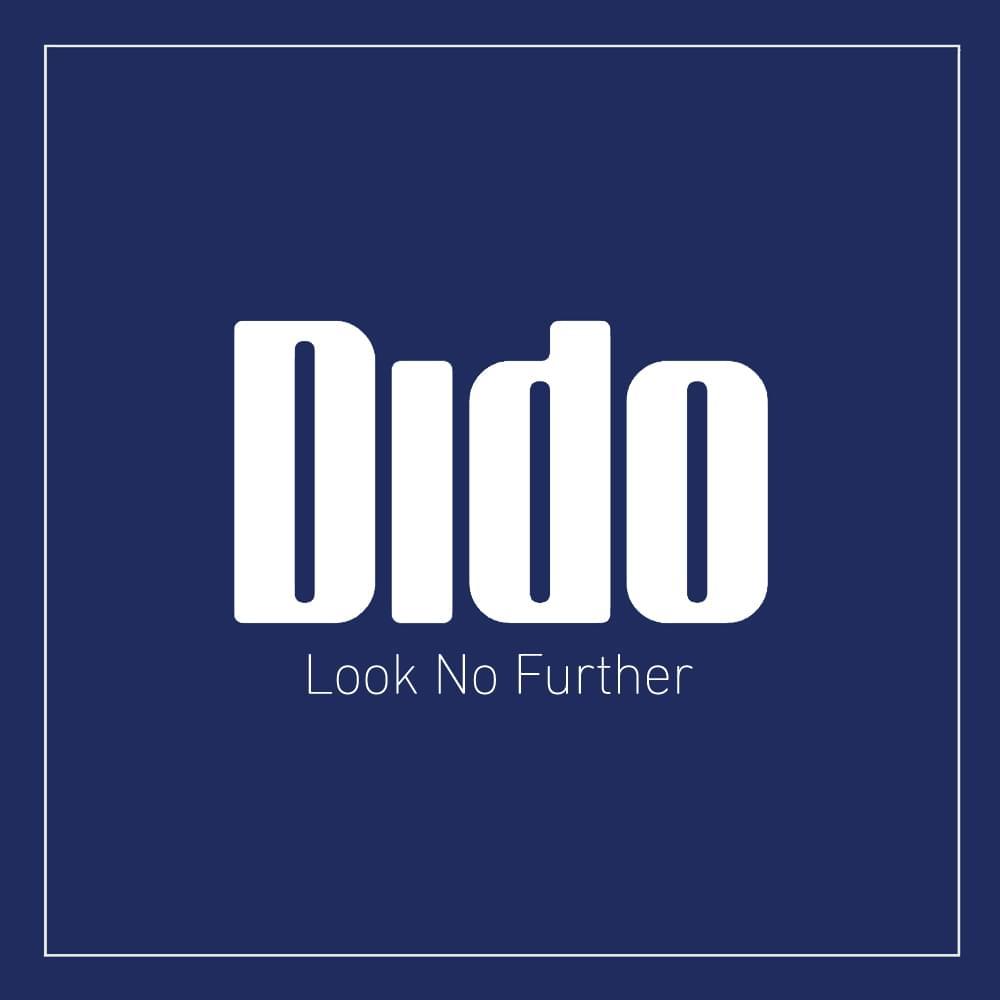 Album cover art for "Look No Further" by Dido
