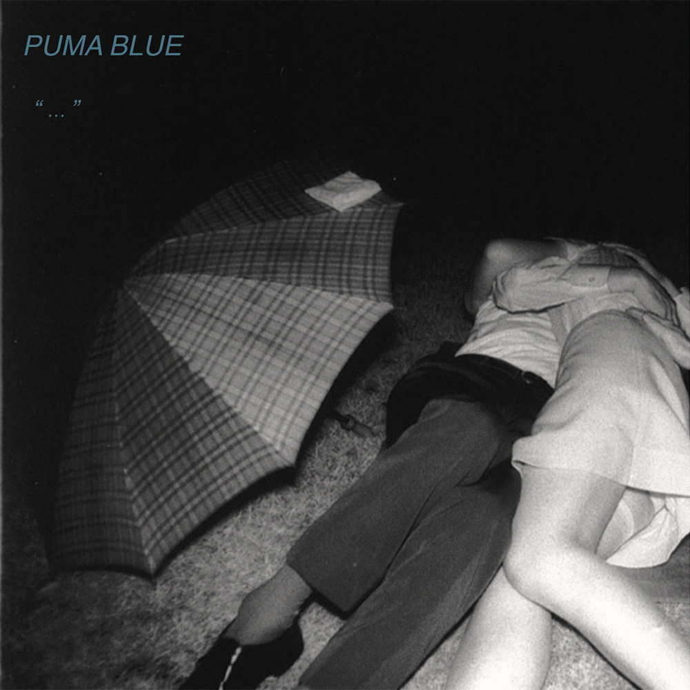 Cover image for Swum Baby