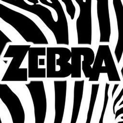 Zebra Profile Picture Photo of Zebra