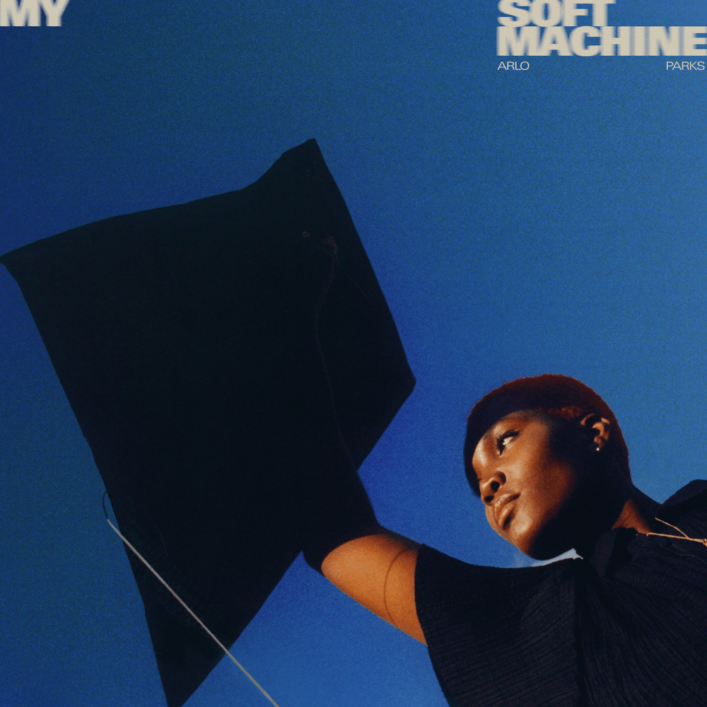 Cover image for My Soft Machine (Deluxe)
