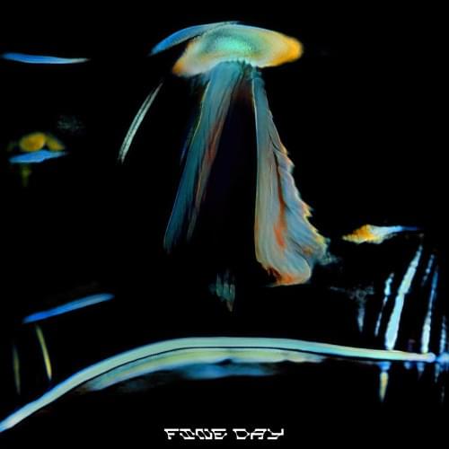Album cover art for "Fine Day" by Sub Focus