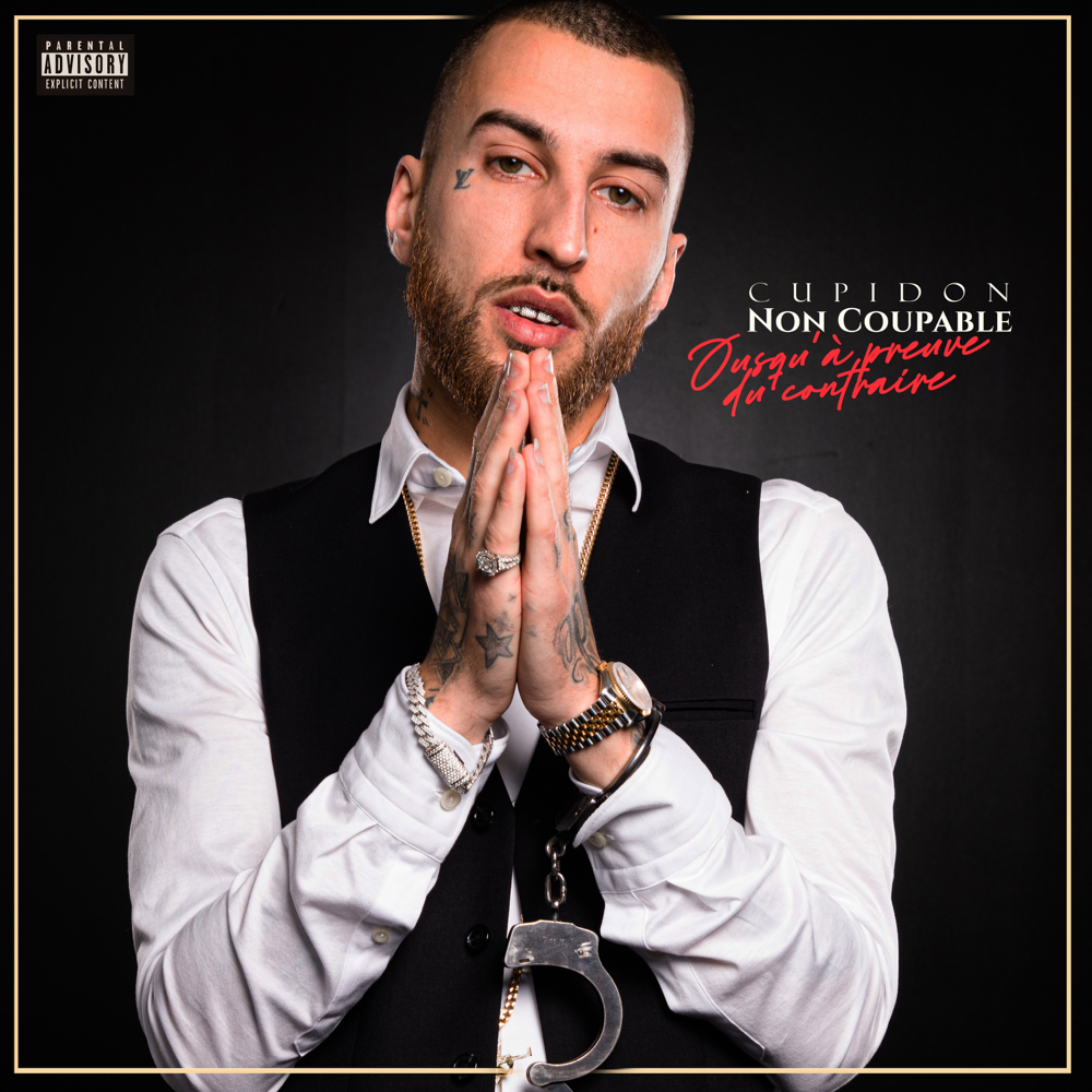 Cover image for Non coupable (Jusqu’à preuve du contraire)