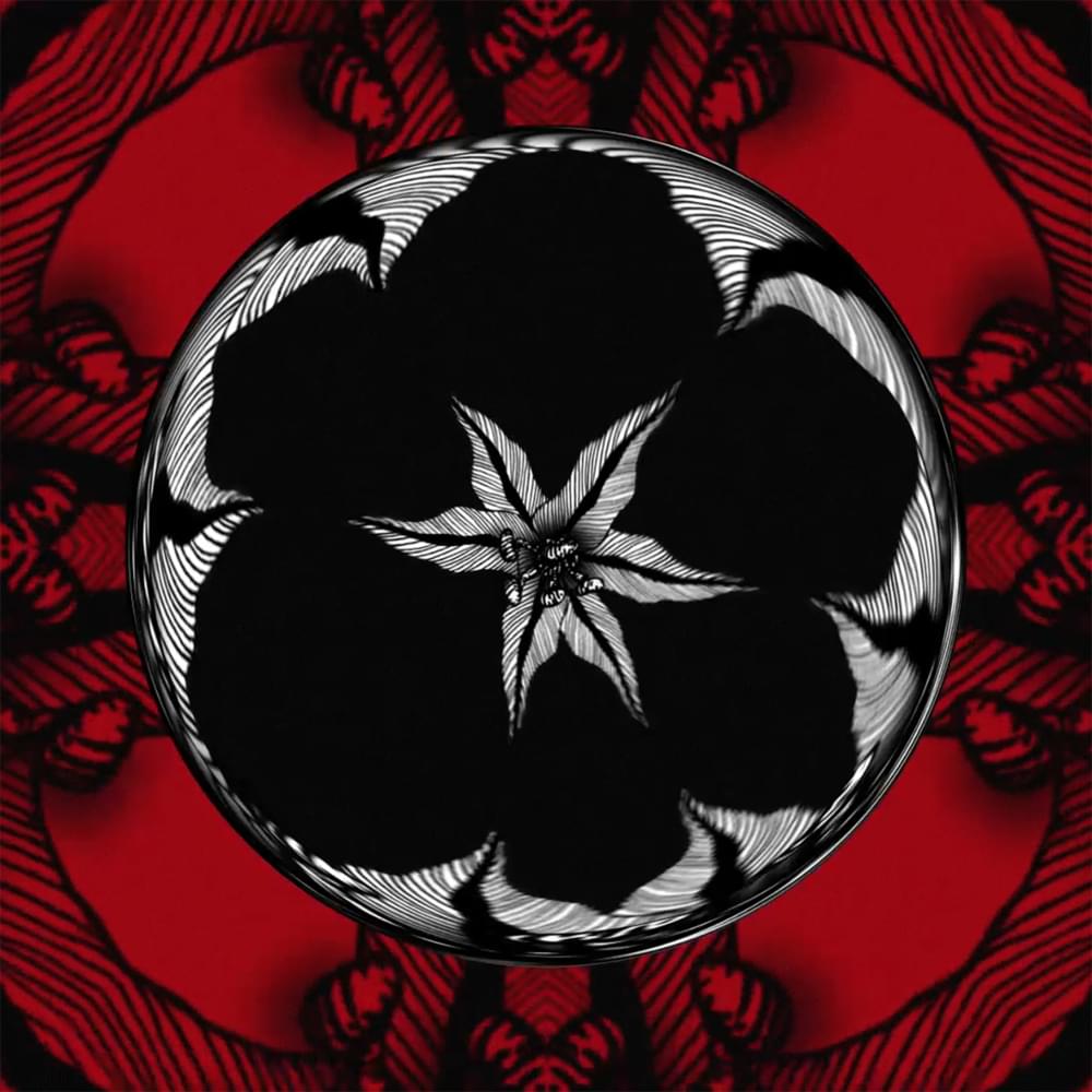 Album cover art for "Won’t Let Us" by Snavs