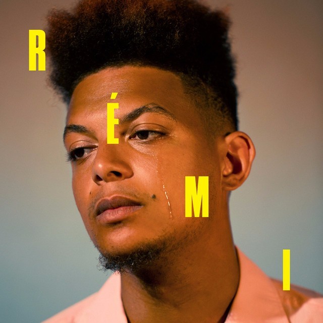 Cover image for Rémi
