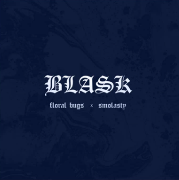 Album cover art for "Blask" by Floral Bugs & Smolasty