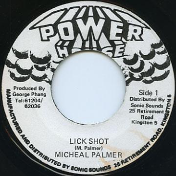 Album cover art for "Lick Shot" by Michael Palmer
