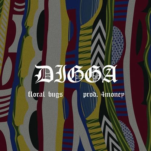Album cover art for "Digga" by Floral Bugs