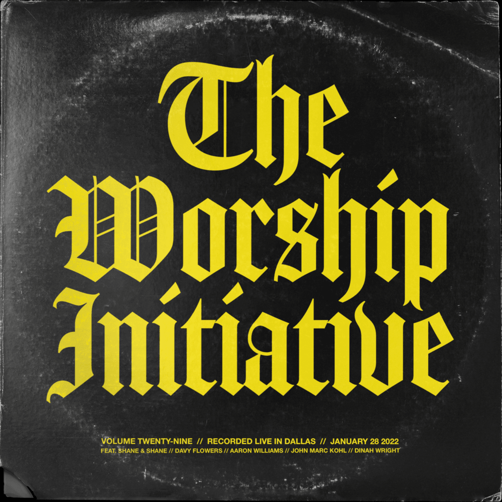 Cover image for The Worship Initiative, Vol. 29 (Live)