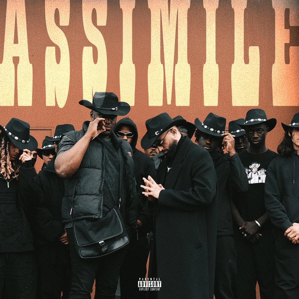 Album cover art for "Assimile" by Niro
