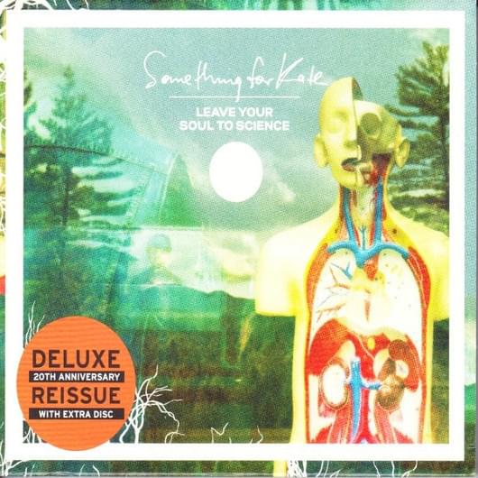 Pleasure And Pain by Something For Kate