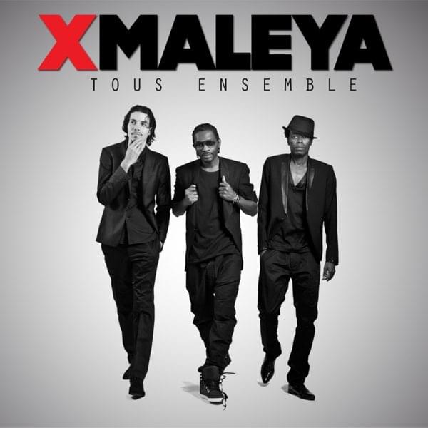 Cover image for Tous ensemble