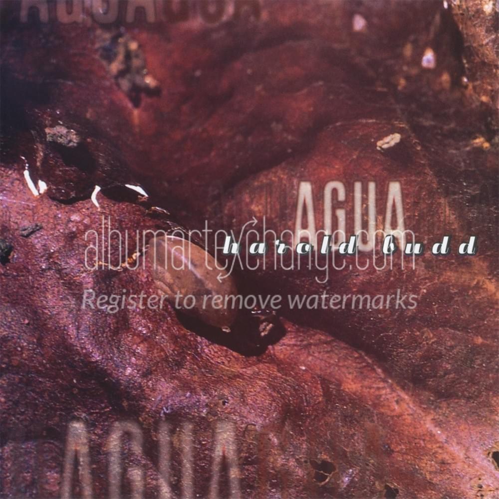 Cover image for Agua