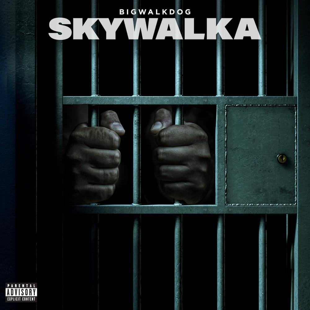 Album cover art for "Skywalka" by BigWalkDog
