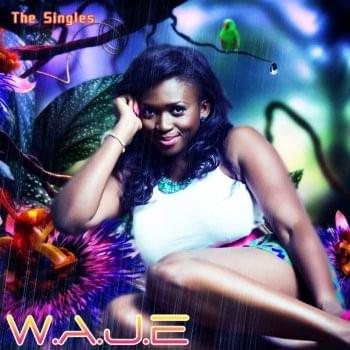 Cover image for The Singles