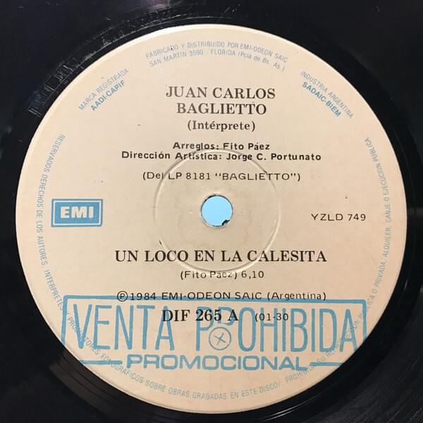 Un Loco en la Calesita by Juan Carlos Baglietto