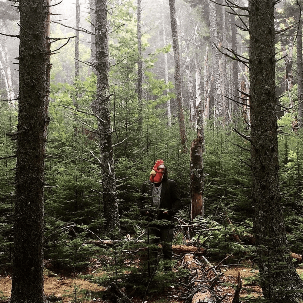 Album cover art for "Willis Creek" by Brock Berrigan
