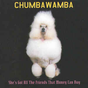 Album cover art for "She’s Got All The Friends That Money Can Buy" by Chumbawamba