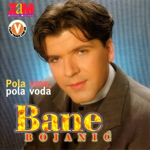 Pola vino pola voda by Bane Bojanić