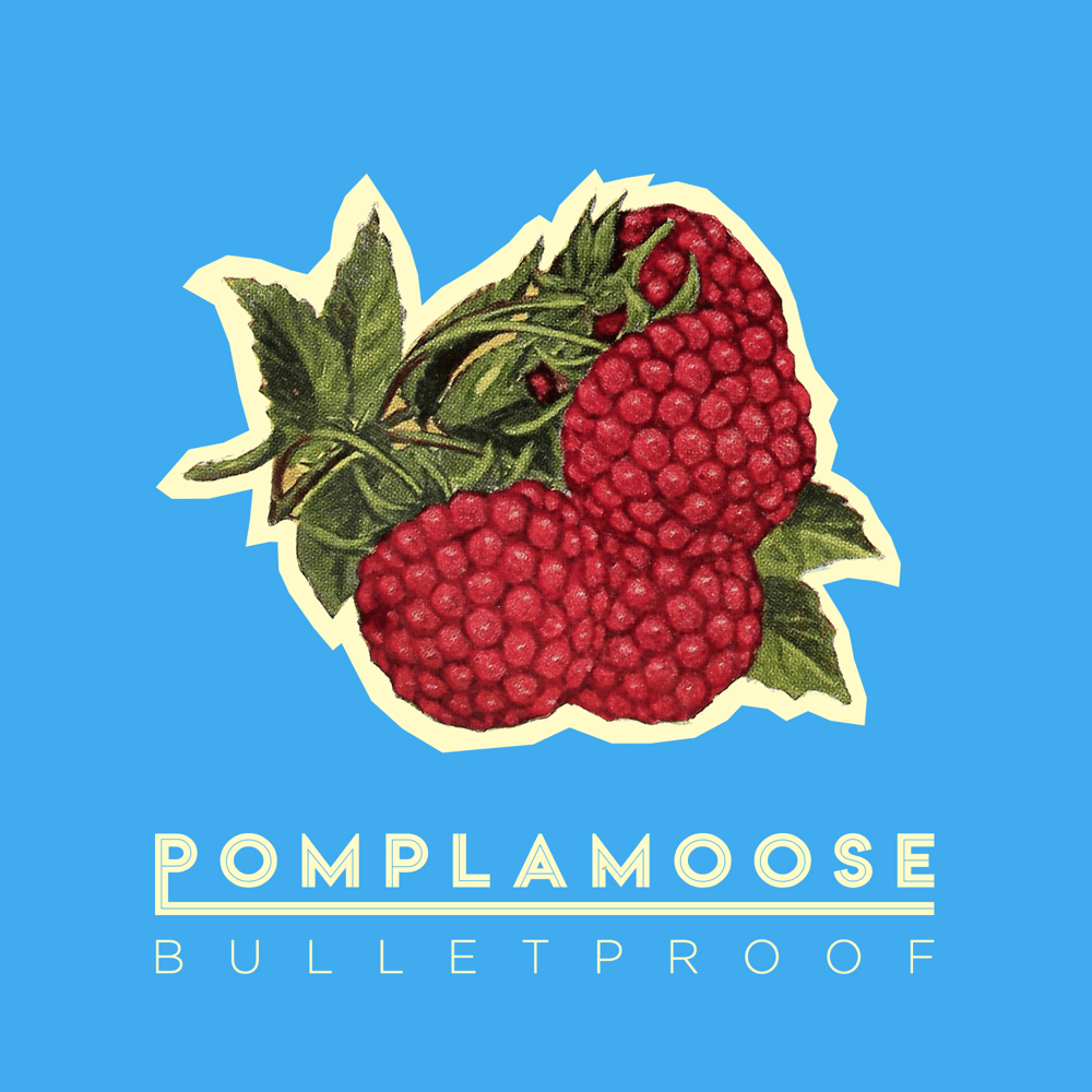 Album cover art for "Bulletproof" by Pomplamoose