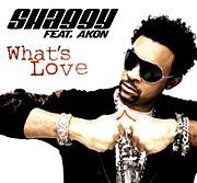 Album cover art for "What’s Love" by Shaggy