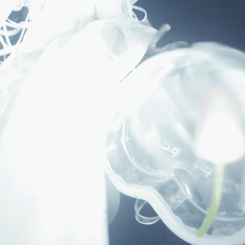 i’ll be your lungs by mental