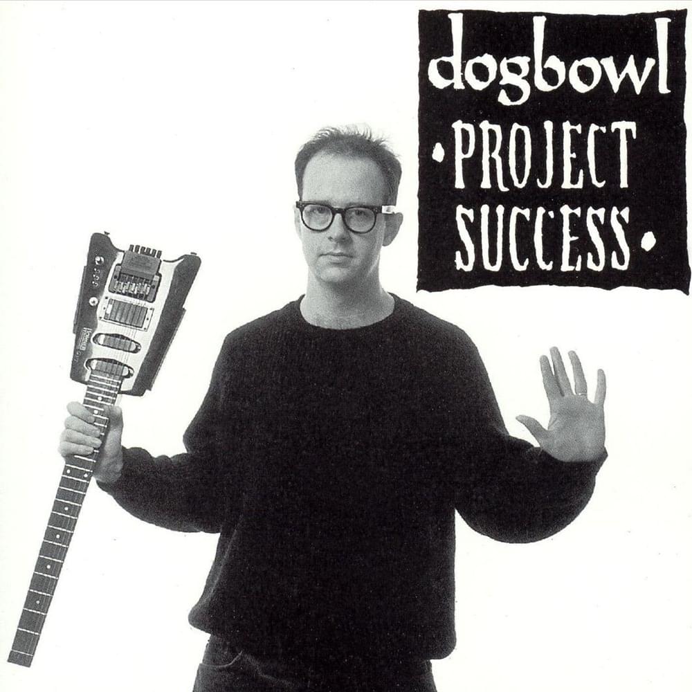 Cover image for Project Success