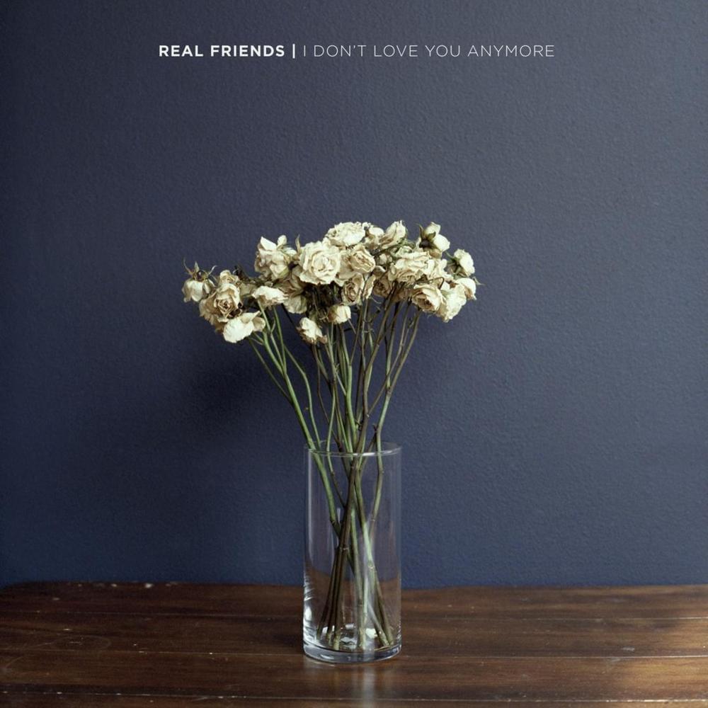 I Don’t Love You Anymore by Real Friends
