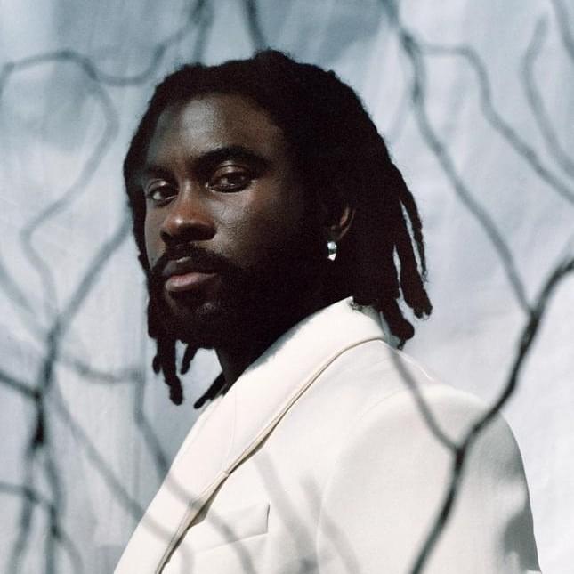 Photo of Damso