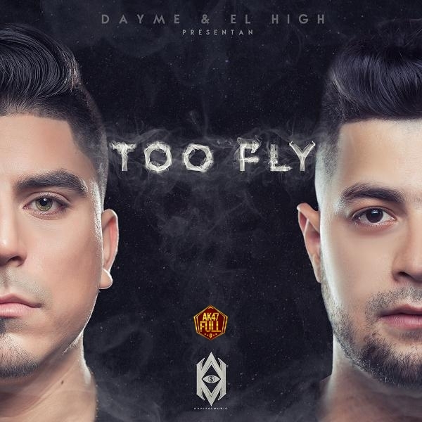 Cover image for Too Fly
