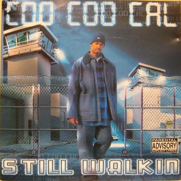 Cover image for Still Walkin