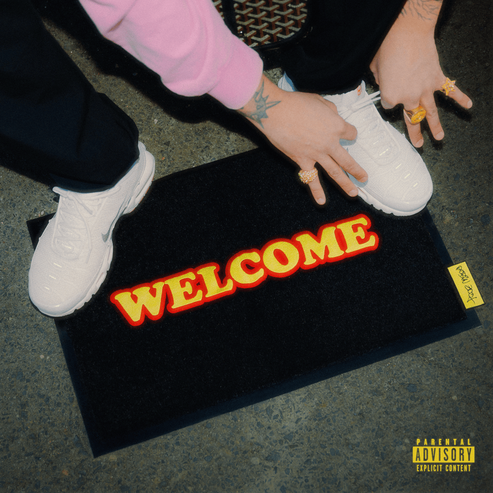 Album cover art for "Welcome" by Robin Zoot