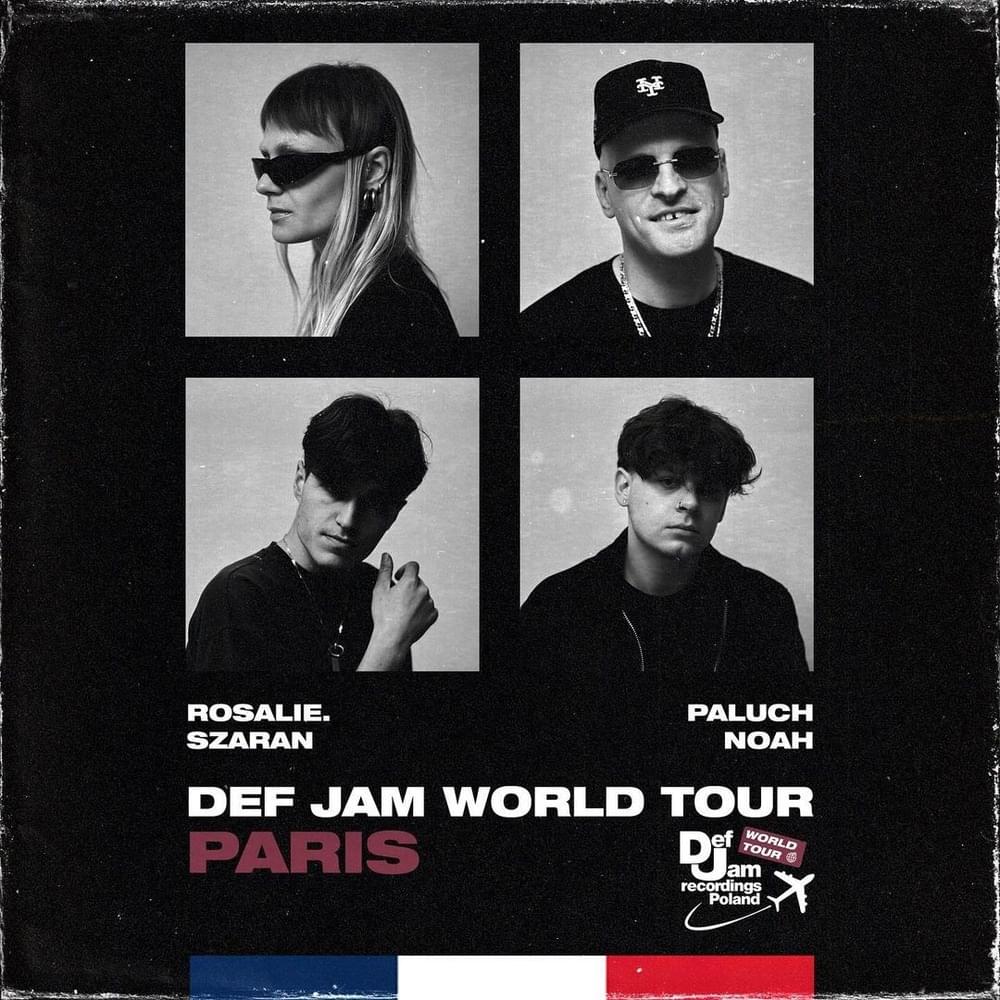 Cover image for Def Jam World Tour: PARIS