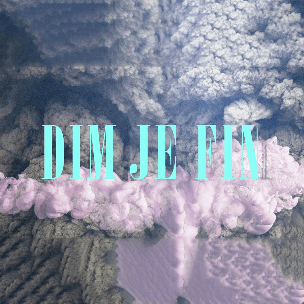 Album cover art for "Dim Je Fin" by Vuk Oreb & Kid Rađa