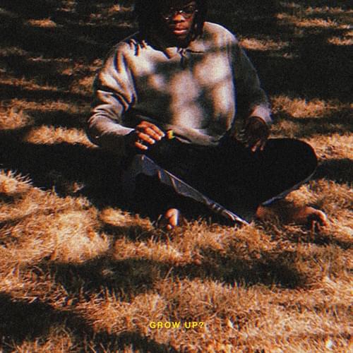Album cover art for "Grow Up" by Trapo